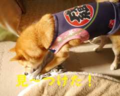 f:id:hanatara:20200830093915j:plain