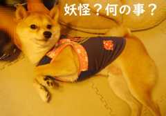 f:id:hanatara:20200830095009j:plain