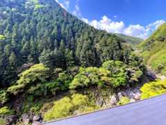 f:id:happydust:20210502082148j:plain