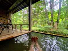 f:id:happydust:20210627093450j:plain