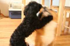 f:id:hatenacinnamon:20070711224635j:image