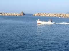 f:id:hayashi_77:20150808173718j:plain f:id:hayashi_77:20150808173718j:plain