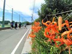 f:id:hayashi_77:20151219224642j:plain f:id:hayashi_77:20151219224642j:plain