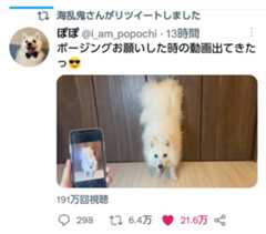 f:id:hinode_shinshi:20211015012800j:plain