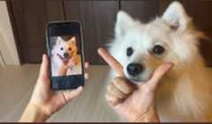 f:id:hinode_shinshi:20211015012805j:plain