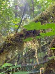 f:id:hitotoshoku:20210808043425j:image f:id:hitotoshoku:20210808043425j:image