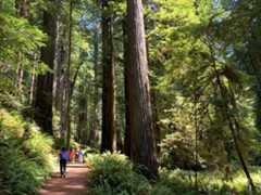 f:id:hitotoshoku:20210809025237j:image f:id:hitotoshoku:20210809025237j:image