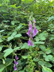 f:id:hitotoshoku:20210809030421j:image f:id:hitotoshoku:20210809030421j:image