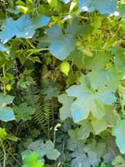 f:id:hitotoshoku:20210809030435j:image f:id:hitotoshoku:20210809030435j:image