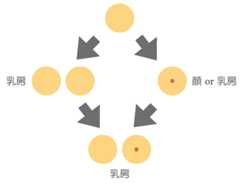 f:id:honeshabri:20210207221416j:plain