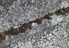 f:id:horikawad:20110114155616j:image:w450