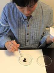 f:id:horikawad:20110401124250j:image:w360