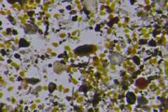 f:id:horikawad:20110401181436j:image:w450