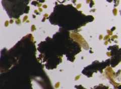 f:id:horikawad:20110401183253j:image:w450