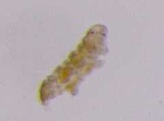 f:id:horikawad:20110526191830j:image:w450