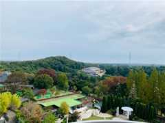f:id:kabutara:20231029162036j:image