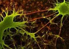 f:id:kazoo04:20151008215107j:plain