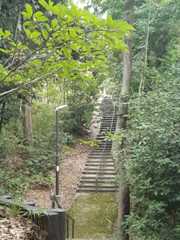 f:id:koemusic:20220830084207j:image f:id:koemusic:20220830084207j:image