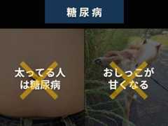 「令和7年度県民公開講座 糖尿病をもっと知ろう」糖尿病発症予防・重症化予防講演会＠レクザムホール＠香川・高松→淡路島への旅その2【適材適食】小園亜由美（管理栄養士・野菜ソムリエ上級プロ）糖尿病専門・甲状腺専門二田哲博クリニック勤務＠福岡姪浜・福岡天神
