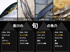 「令和7年度県民公開講座 糖尿病をもっと知ろう」糖尿病発症予防・重症化予防講演会＠レクザムホール＠香川・高松→淡路島への旅その2【適材適食】小園亜由美（管理栄養士・野菜ソムリエ上級プロ）糖尿病専門・甲状腺専門二田哲博クリニック勤務＠福岡姪浜・福岡天神