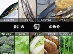 「令和7年度県民公開講座 糖尿病をもっと知ろう」糖尿病発症予防・重症化予防講演会＠レクザムホール＠香川・高松→淡路島への旅その2【適材適食】小園亜由美（管理栄養士・野菜ソムリエ上級プロ）糖尿病専門・甲状腺専門二田哲博クリニック勤務＠福岡姪浜・福岡天神