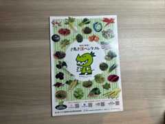 「令和7年度県民公開講座 糖尿病をもっと知ろう」糖尿病発症予防・重症化予防講演会＠レクザムホール＠香川・高松→淡路島への旅その2【適材適食】小園亜由美（管理栄養士・野菜ソムリエ上級プロ）糖尿病専門・甲状腺専門二田哲博クリニック勤務＠福岡姪浜・福岡天神