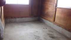 f:id:lele-mmw:20200820223342j:plain f:id:lele-mmw:20200820223342j:plain