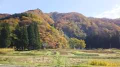 f:id:lele-mmw:20201107224213j:plain f:id:lele-mmw:20201107224213j:plain