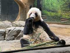 f:id:libra-flos:20251104234245j:image