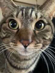 f:id:lovejunkey:20200205150852j:plain f:id:lovejunkey:20200205150852j:plain