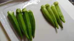 f:id:megumin1120:20201004224935j:plain f:id:megumin1120:20201004224935j:plain