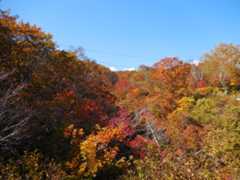 f:id:megumin1120:20201013145357j:plain f:id:megumin1120:20201013145357j:plain