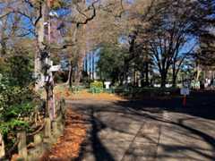 f:id:minomushi0713:20251215143829j:image