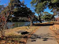 f:id:minomushi0713:20251215143843j:image