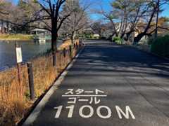 f:id:minomushi0713:20251215143850j:image