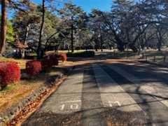 f:id:minomushi0713:20251215143913j:image