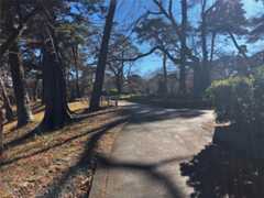 f:id:minomushi0713:20251215143918j:image