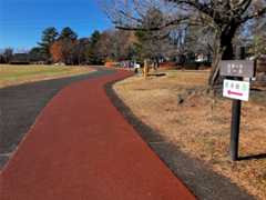 f:id:minomushi0713:20251215144146j:image