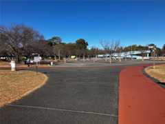 f:id:minomushi0713:20251215144151j:image