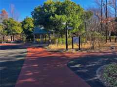 f:id:minomushi0713:20251215144200j:image