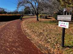 f:id:minomushi0713:20251215144205j:image