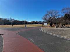 f:id:minomushi0713:20251215144354j:image