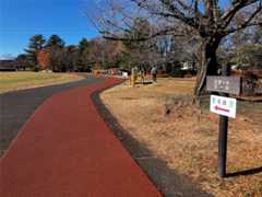 f:id:minomushi0713:20251215144417j:image