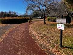 f:id:minomushi0713:20251215144421j:image