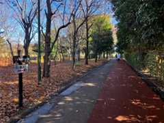 f:id:minomushi0713:20251215144437j:image