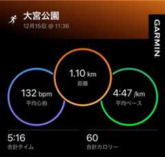 f:id:minomushi0713:20251216020324j:image