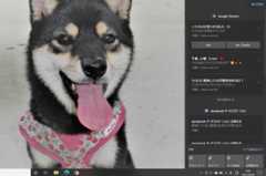 f:id:mishacarrot:20210511154300j:plain
