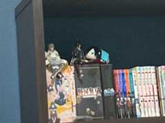 f:id:miwakeicht:20250307222145j:image