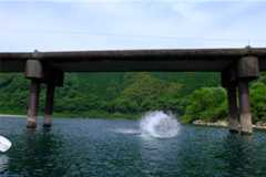 f:id:momo-333:20240909104511j:image f:id:momo-333:20240909104511j:image