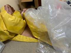 f:id:momo-333:20250131235140j:image